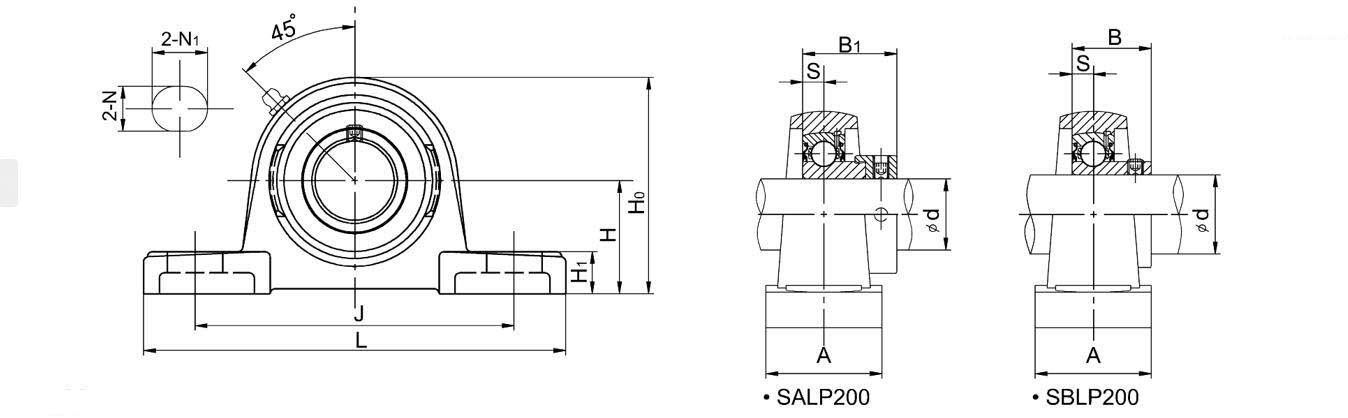 B09 SALP2