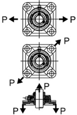 WP-F0